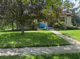 Cynthia R.'s turf maintenance service result