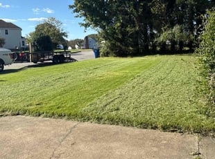 Ann L.'s grass maintenance service result