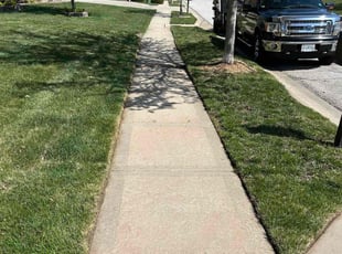 Michael M.'s grass cutting service result