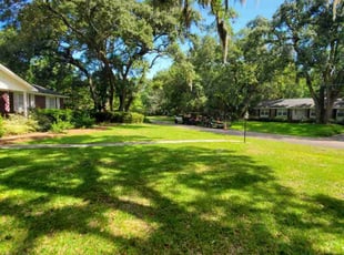 Madi R.'s lawn maintenance service result