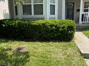 Karen B.'s Bush Trimming service result