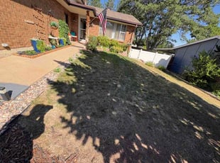 Lauren M.'s turf maintenance service result
