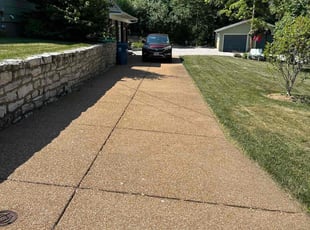 Lisa L.'s lawn care service result
