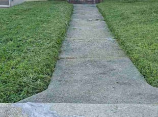 Vaughan K.'s grass maintenance service result