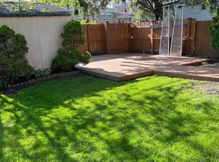 Lukas G.'s turf care service result