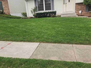 Marcus R.'s turf care service result