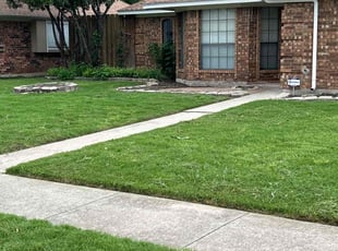 Steve E.'s lawn care services service result