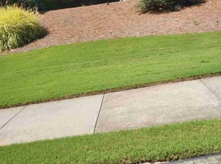Rochelle W.'s turf maintenance service result