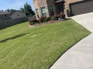 Elias Z.'s turf care service result