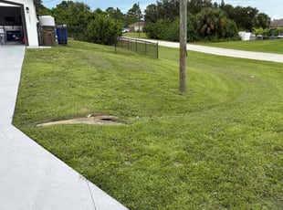 Karol G.'s turf care service result