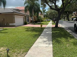 Kathy V.'s turf maintenance service result