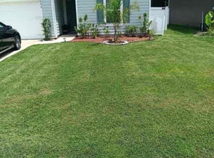 Craig S.'s lawn care services service result