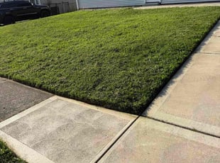 Cody C.'s turf maintenance service result