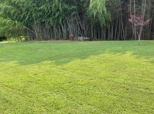 Linda M.'s lawn service service result
