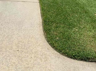 Kay M.'s turf care service result