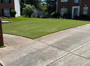 Melody T.'s lawn maintenance service result