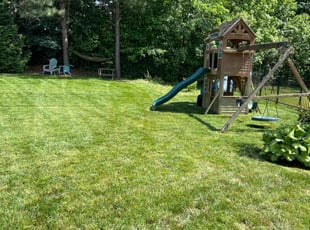 Linda W.'s grass maintenance service result