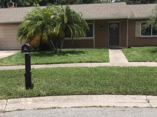 Patrick M.'s grass cutting service result