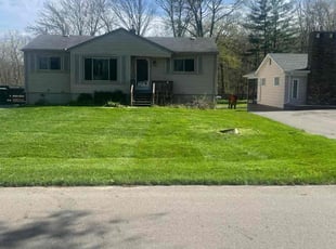 Markia C.'s grass cutting service result