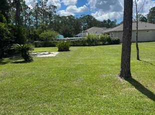 Wynn L.'s lawn service service result