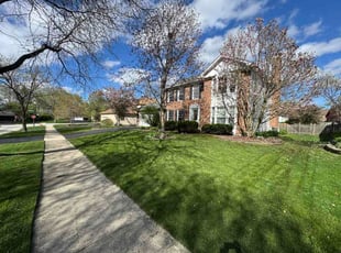 Steven D.'s grass cutting service result