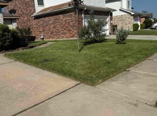 Stephanie D.'s lawn care service result