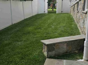 Marlynn H.'s turf maintenance service result