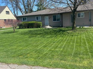 Kevin T.'s turf maintenance service result