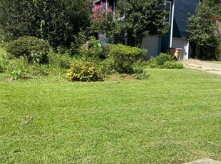 Bernardo M.'s Bush Trimming service result