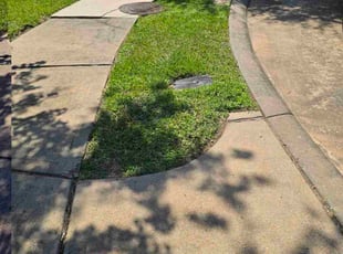 Sopenia G.'s lawn service service result