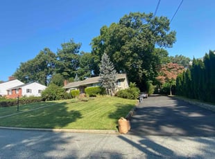 Anthony J.'s lawn care service result