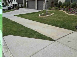 Ronald B.'s lawn service service result
