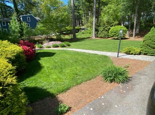 Robert N.'s lawn service service result