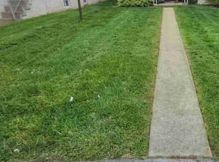 Miguel R.'s lawn service service result