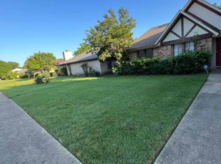 Rodney D.'s grass maintenance service result