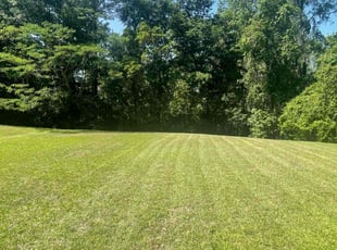 Robin M.'s turf care service result