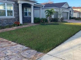 Michael D.'s turf care service result