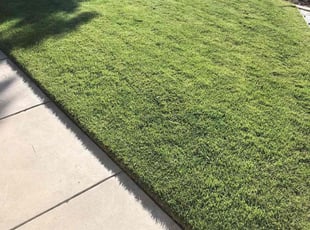 Marshall H.'s lawn maintenance service result
