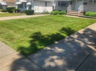 Dana C.'s turf maintenance service result