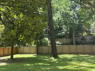 Tracy P.'s lawn service service result