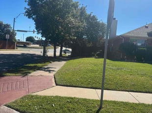 Janita M.'s grass cutting service result