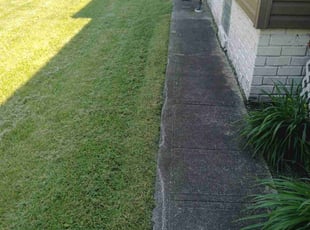 Antonio W.'s turf care service result