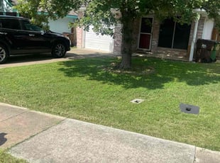 Patricia R.'s turf care service result