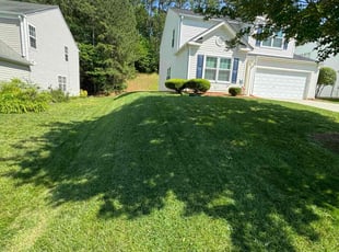 Chanita V.'s grass cutting service result