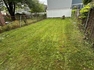 Neil W.'s turf maintenance service result