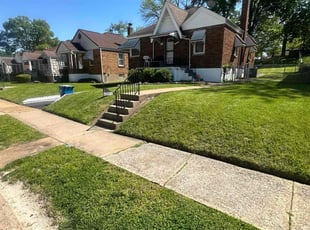 Alex B.'s grass maintenance service result