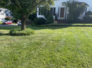 Georgia G.'s lawn maintenance service result