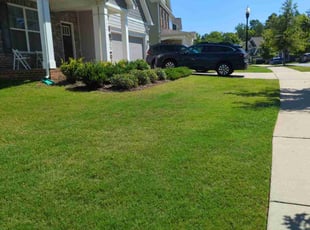 Kim C.'s turf care service result