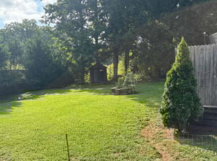 Michael W.'s grass maintenance service result