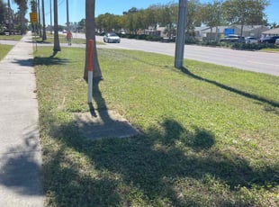 Christopher J.'s lawn maintenance service result